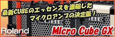 Micro Cube GX