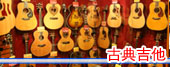 Acoustic Guitar