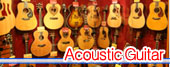 Acoustic Guitar
